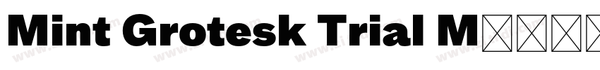 Mint Grotesk Trial M字体转换